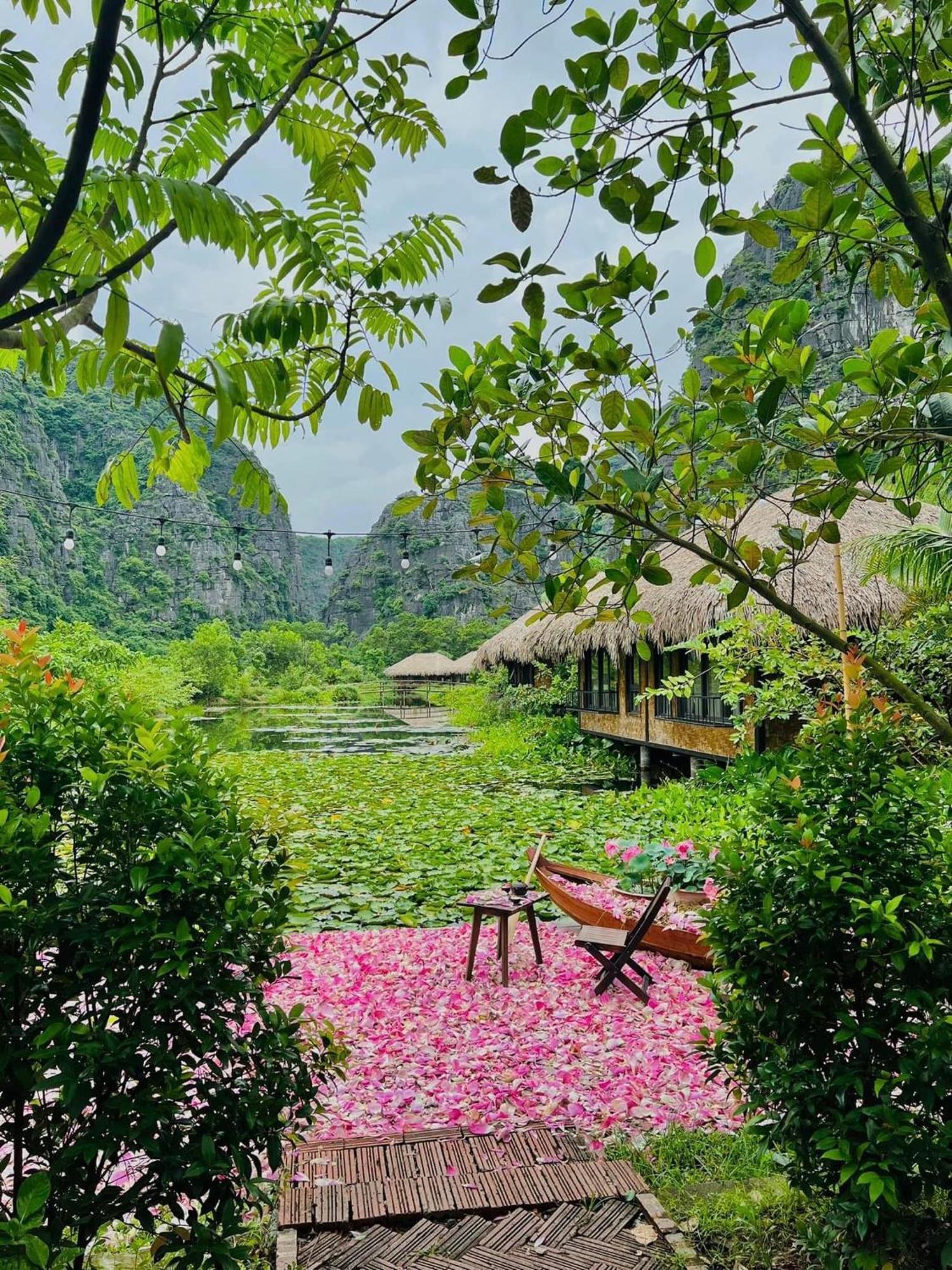 Halise Home And Retreat Ninh Binh Exterior photo