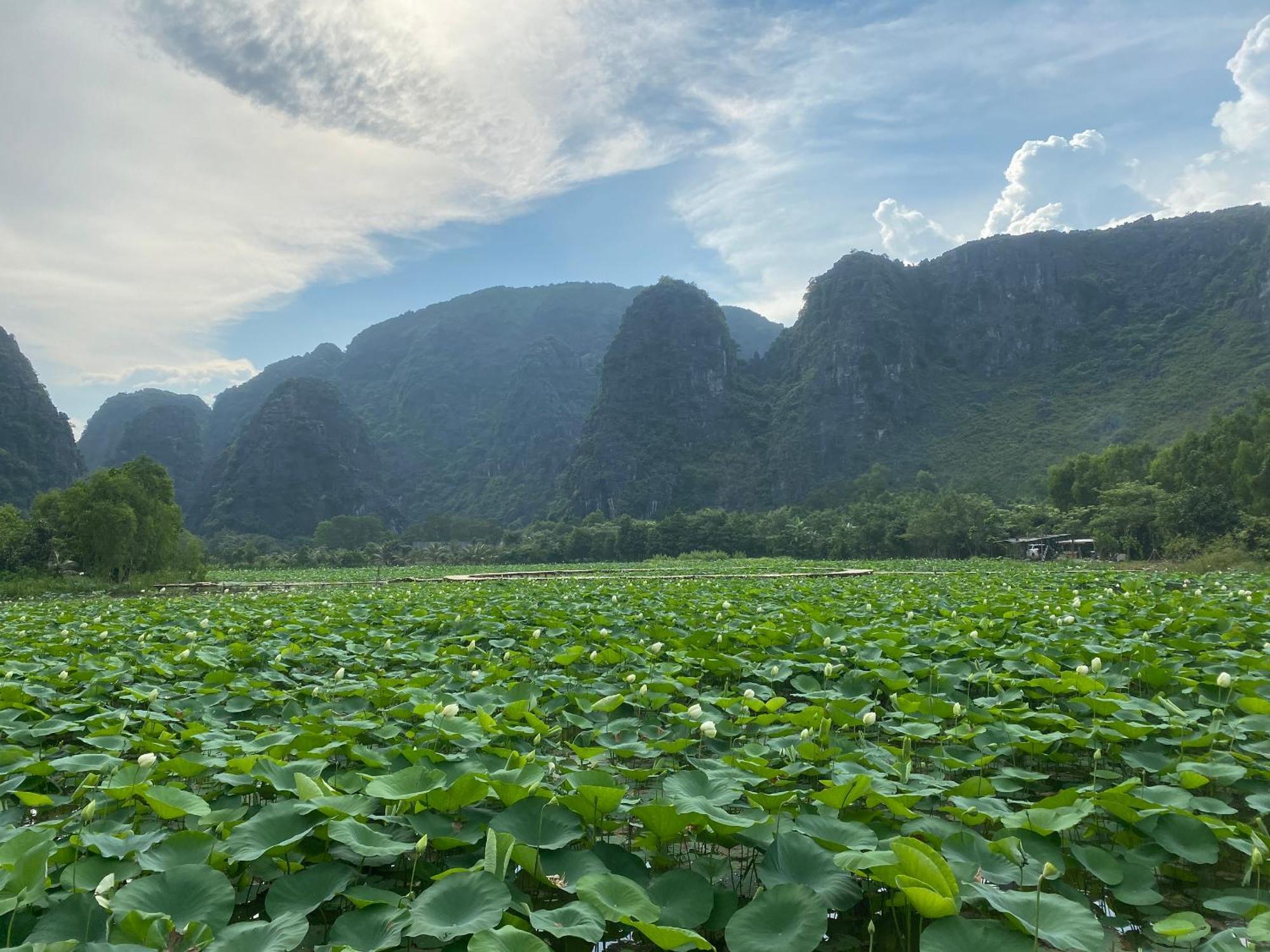 Halise Home And Retreat Ninh Binh Exterior photo