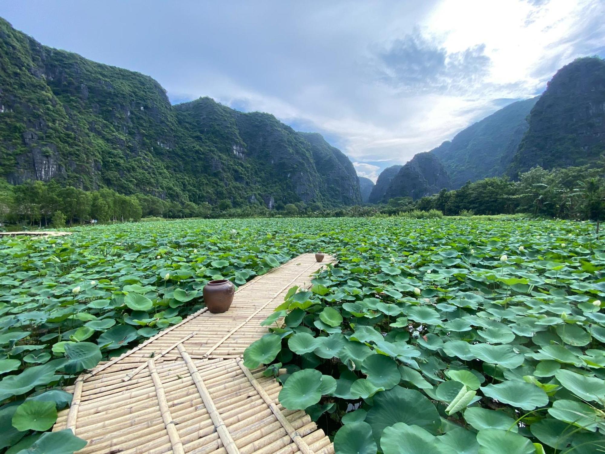 Halise Home And Retreat Ninh Binh Exterior photo